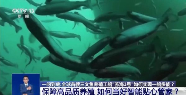 启牛配资 海上“牧鱼”成现实，何时能吃上“苏海1号”养殖的三文鱼？