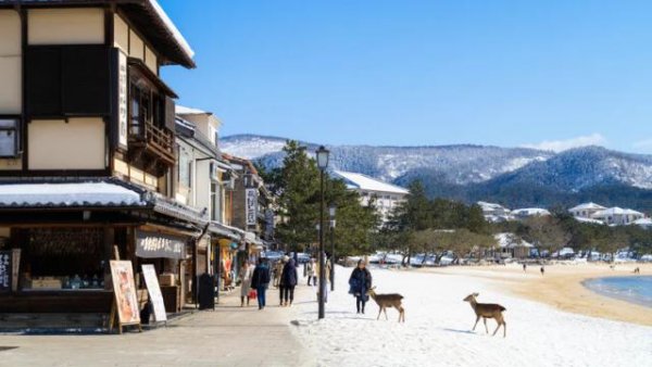 同花易配 日本的文旅商业，能抄吗？