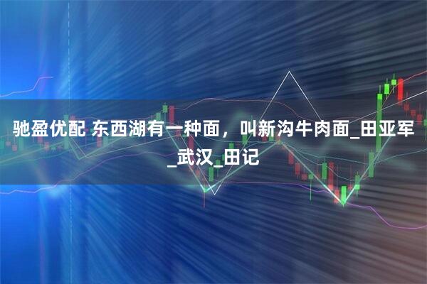 驰盈优配 东西湖有一种面，叫新沟牛肉面_田亚军_武汉_田记