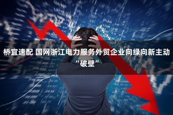 桥宜速配 国网浙江电力服务外贸企业向绿向新主动“破壁”