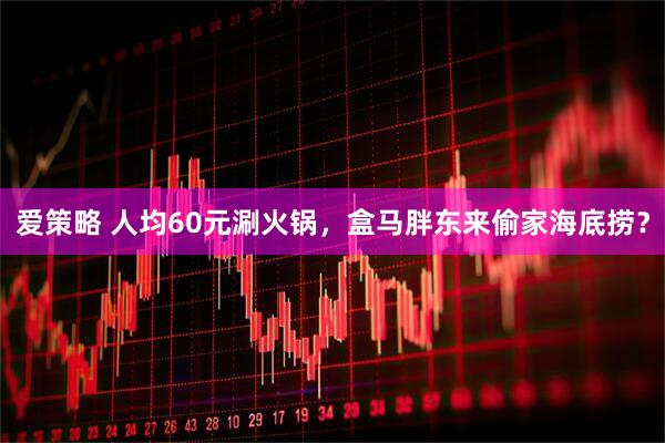 爱策略 人均60元涮火锅，盒马胖东来偷家海底捞？